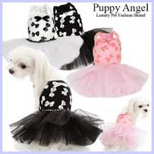 Puppy Angel White Ribbon Dress PA-DR122