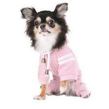 Puppy Angel Just For You Jogging Suit PA-OR134