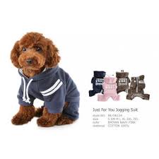 Puppy Angel Just For You Jogging Suit PA-OR134