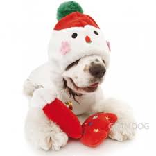 Puppy Angel Snowman Suit PA-OR020