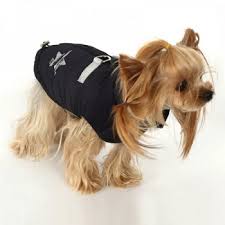 Puppy Angel Star Real Memory Padding Vest (Back Zipper, Regular, D Ring) PA-OW315
