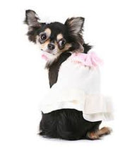 Puppy Angel Hugs Dress PA-DR113