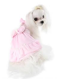 Puppy Angel Hugs Dress PA-DR113