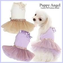 Puppy Angel A Bottle of Scent Dress PA-DR117