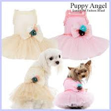 Puppy Angel Donau Dress PA-DR131
