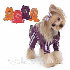 Puppy Angel Luxury Paw Jogging Suit PA-OR101