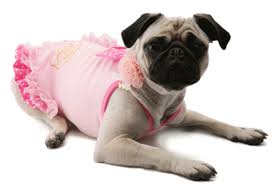 Puppy Angel Alluring Rosha Dress PA-DR105