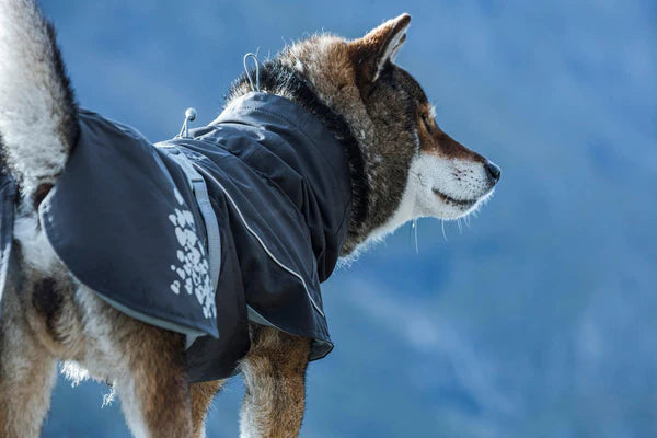 Hurtta 2025 monsoon coat