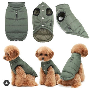 Puppy Angel Windbreaker Light Jacket waterproof